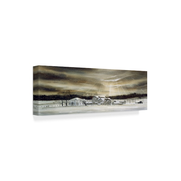 John Morrow 'The Eye Of Winter ' Canvas Art,10x32